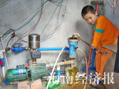所以不少游戏厂商就推出了经营农场的游戏