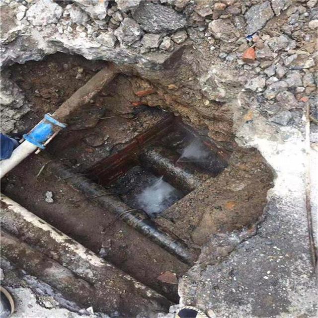 公司是为科研和临床客户提供技术服务和相关产品的专业生物公司